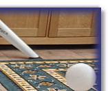 Bertie's beloved ball pit!