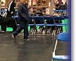 Sarah and Bertie - 4th at Crufts 2019