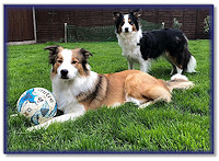 Darcy and Bertie at 12 months, with his football