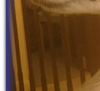 Bertie's lovely profile