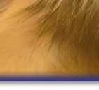 Bertie's lovely profile