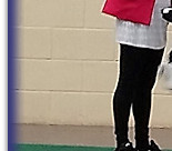 Scottish BC Club Ch Show, qualifying for Crufts 2019