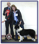 Blaze - Best In Show at Wessex BC Club Show 2009