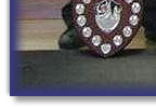Blaze - Best In Show at Wessex BC Club Show 2009
