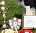 Blaze's Trophies 2008