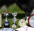 Blaze's Trophies 2008