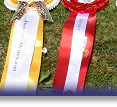 Blaze's Trophies 2008