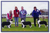 Res Best Puppy In Show, BC Club of GB 2004