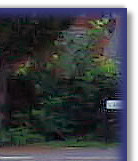 On The Springer with Sarah