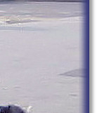 On The Springer with Sarah