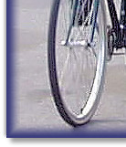 On The Springer with Sarah