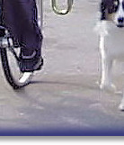 On The Springer with Sarah