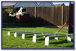 Bliss flying the 9' Long Jump
