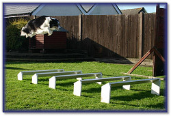 Bliss flying the 9' Long Jump