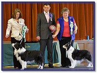 Bliss, Best Veteran & her son Blaze, Best Working -Southern BC Club Jan 2013