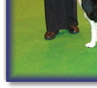 Bliss, 2nd Crufts 2008