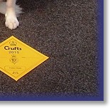 Rex & Granny Bliss - VHC & 3rd - Crufts 2015