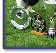 Bliss's 2006 Trophies