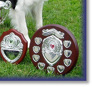 Bliss's 2006 Trophies