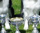 Rex and his Granny, Bliss, and their 2013 West Of England Awards