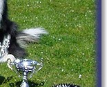 Rex and his Granny, Bliss, and their 2013 West Of England Awards