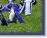 Rex and his Granny, Bliss, and their 2013 West Of England Awards