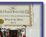 West Of England BC Club 2011 Trophies