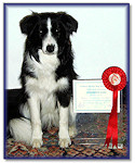 Bonny at 7 Months: 1st Place, Intermediate Test