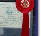 Bonny at 11 months: 1st Place Advanced Test
