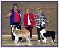 Res Best Puppy Dog - East Anglian BC Club