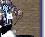 Res Best Puppy Dog - East Anglian BC Club