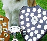 Dandy with his WOEBCC Trophies 2015