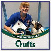 Sarah and Darcy, 2nd at Discover Dogs, qualify for Crufts 2020