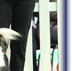Darcy at Crufts 2020 - Heel On Lead