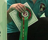 Sarah and Darcy with the Crufts Trophy!
