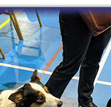 The moment Sarah heard they'd won at The Nationals