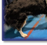 The moment Sarah heard they'd won at The Nationals