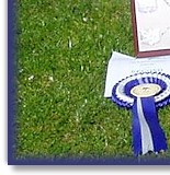 With half brother Rex and their trophies from Southern BC Club Champ Show 2014