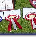 With half brother Rex and their trophies from Southern BC Club Champ Show 2014