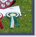 With half brother Rex and their trophies from Southern BC Club Champ Show 2014