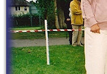 Fizz Best In Show & Bitch CC, BC Club of Wales '09