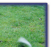 Early Football Training! (Fizz Far Left)