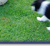 Early Football Training! (Fizz Far Left)
