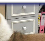 Standing at 10 Wks old