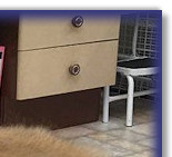 Standing at 10 Wks old