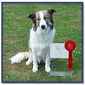 1st in Intermediate Obedience Test - 7Mths