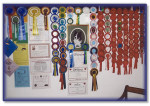 SOME of Jazz`s rosettes!