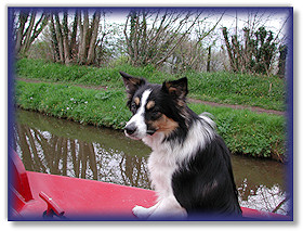 Ebba on the narrow boat