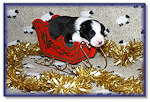 ...in a one-pup open sleigh!