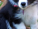 Will you play with me now?